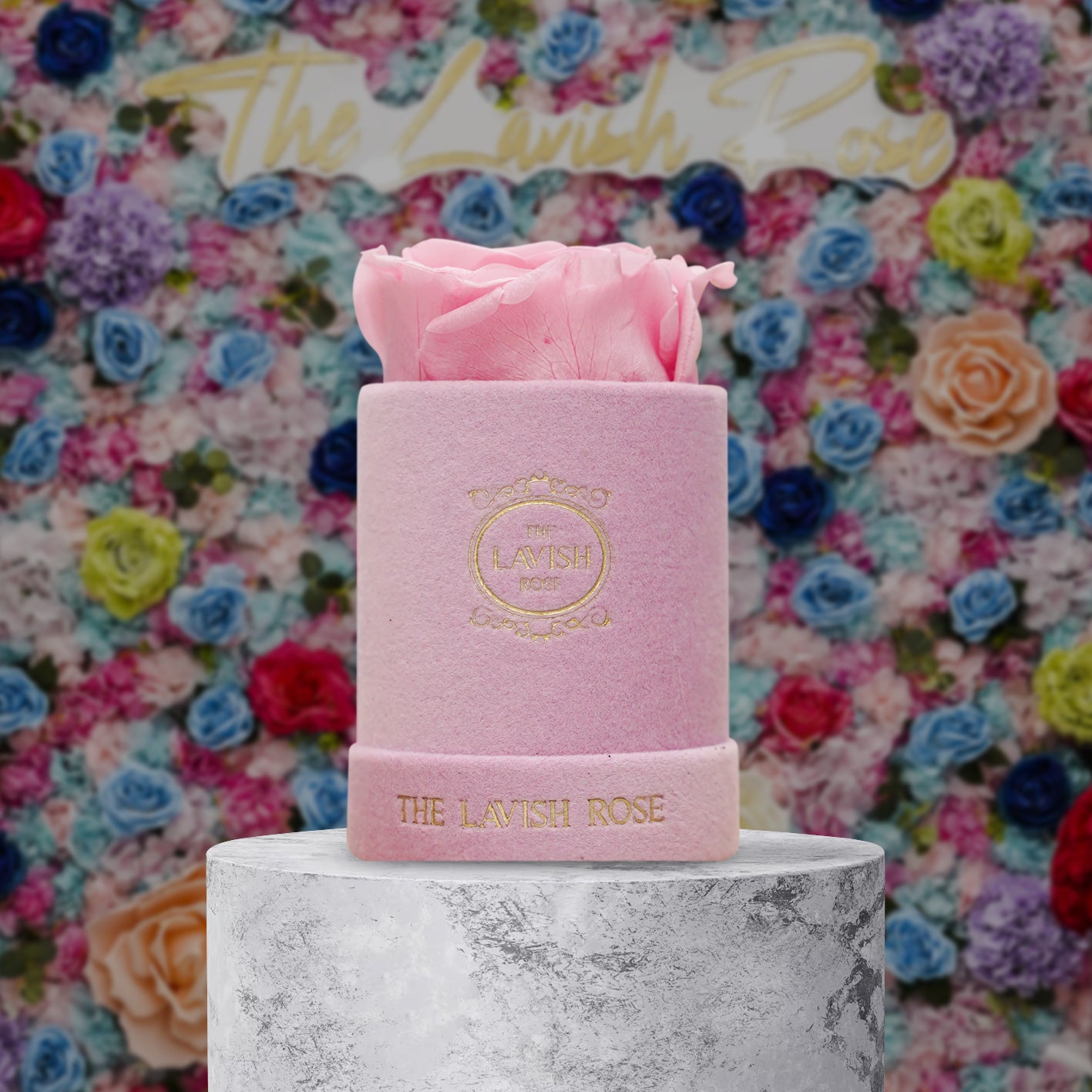 Pink in Mini Pink Suede Box