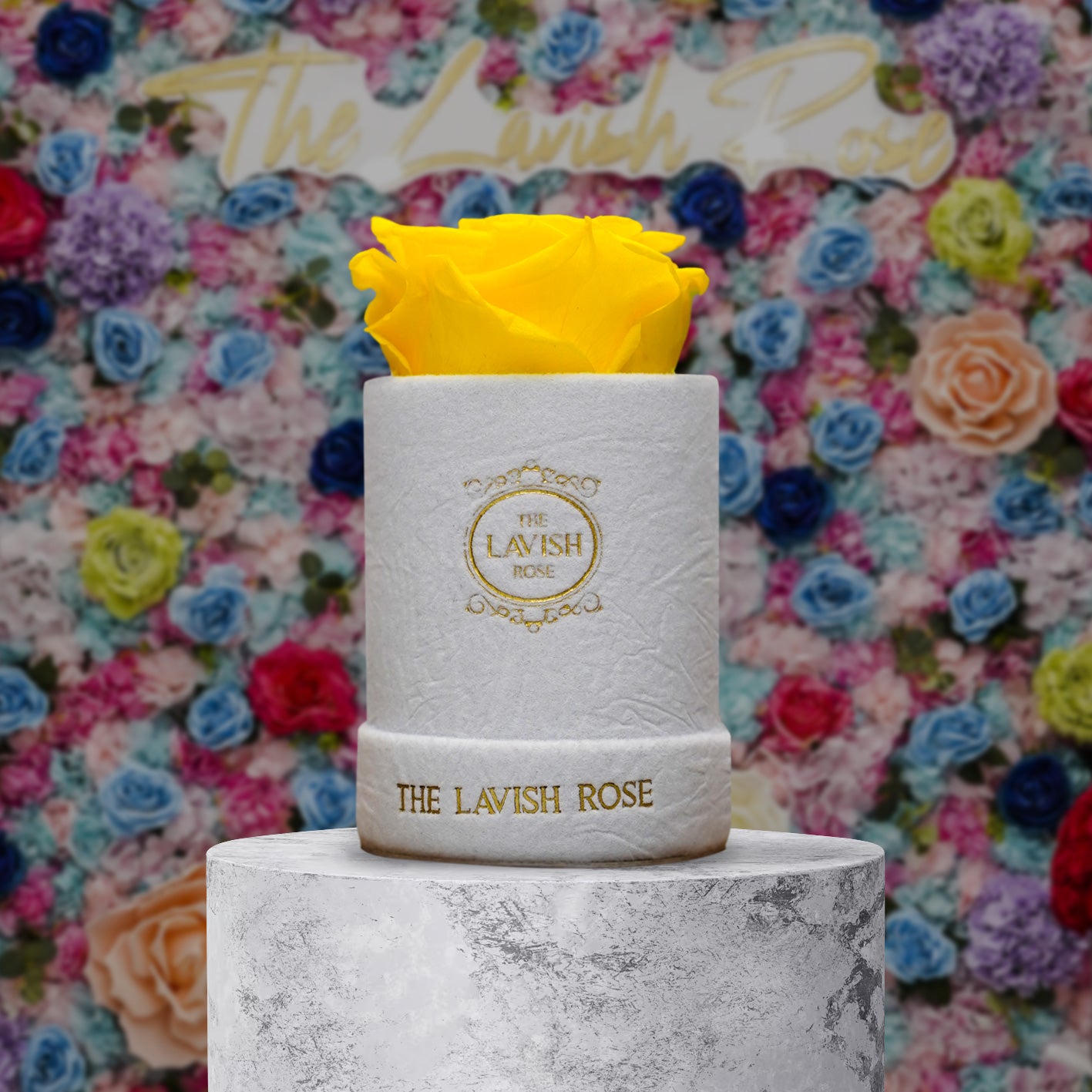 Yellow in Mini White Suede Box