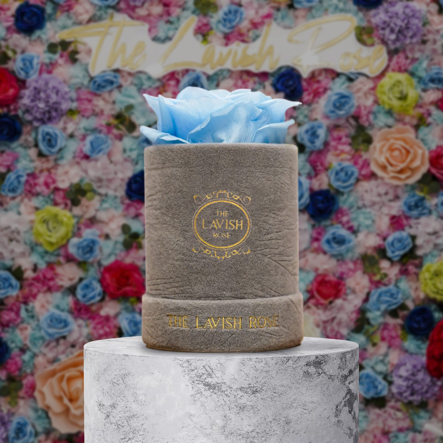 Light Blue in Mini Gray Suede Box