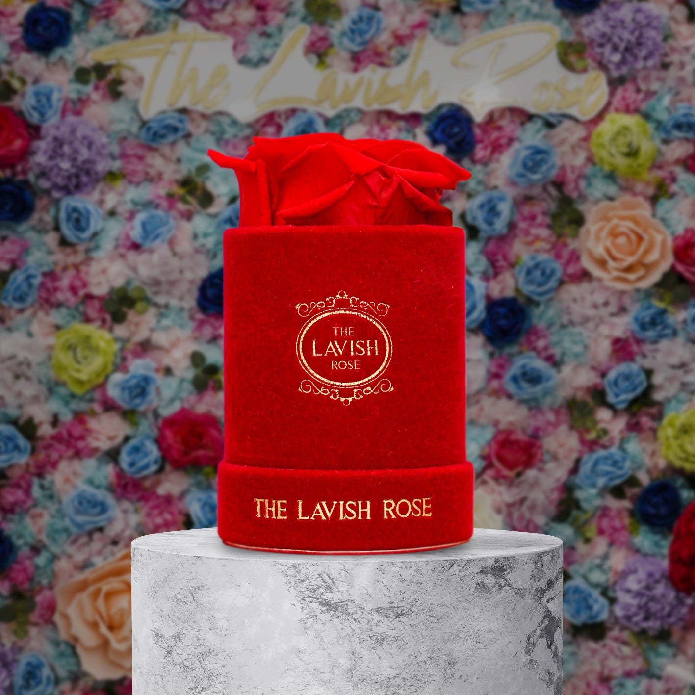 Red in Mini Red Suede Box