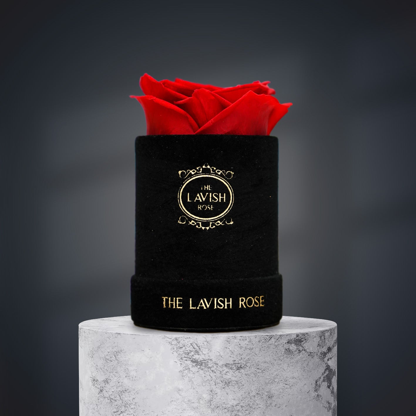 Red in Mini Black Suede Box