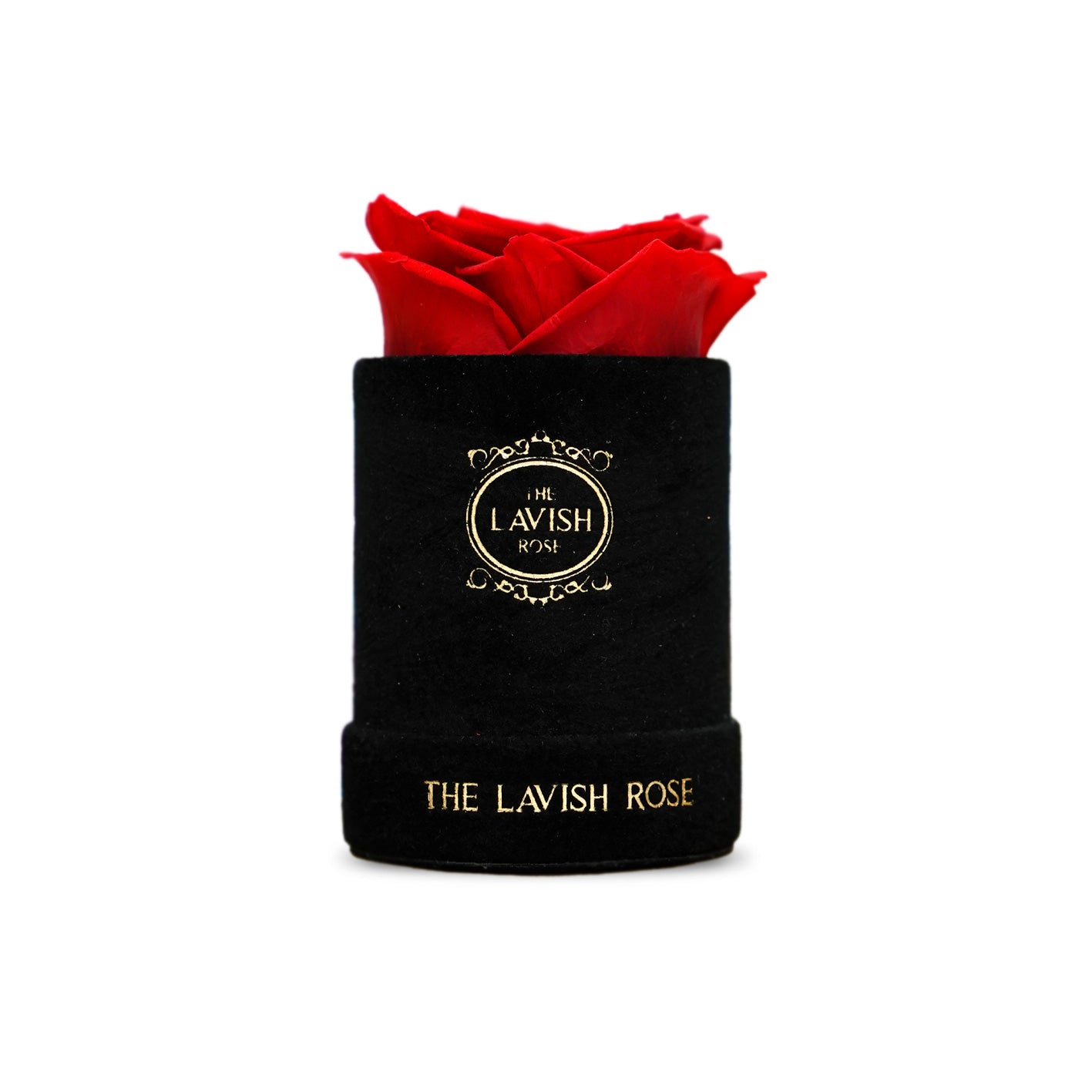 Red in Mini Black Suede Box