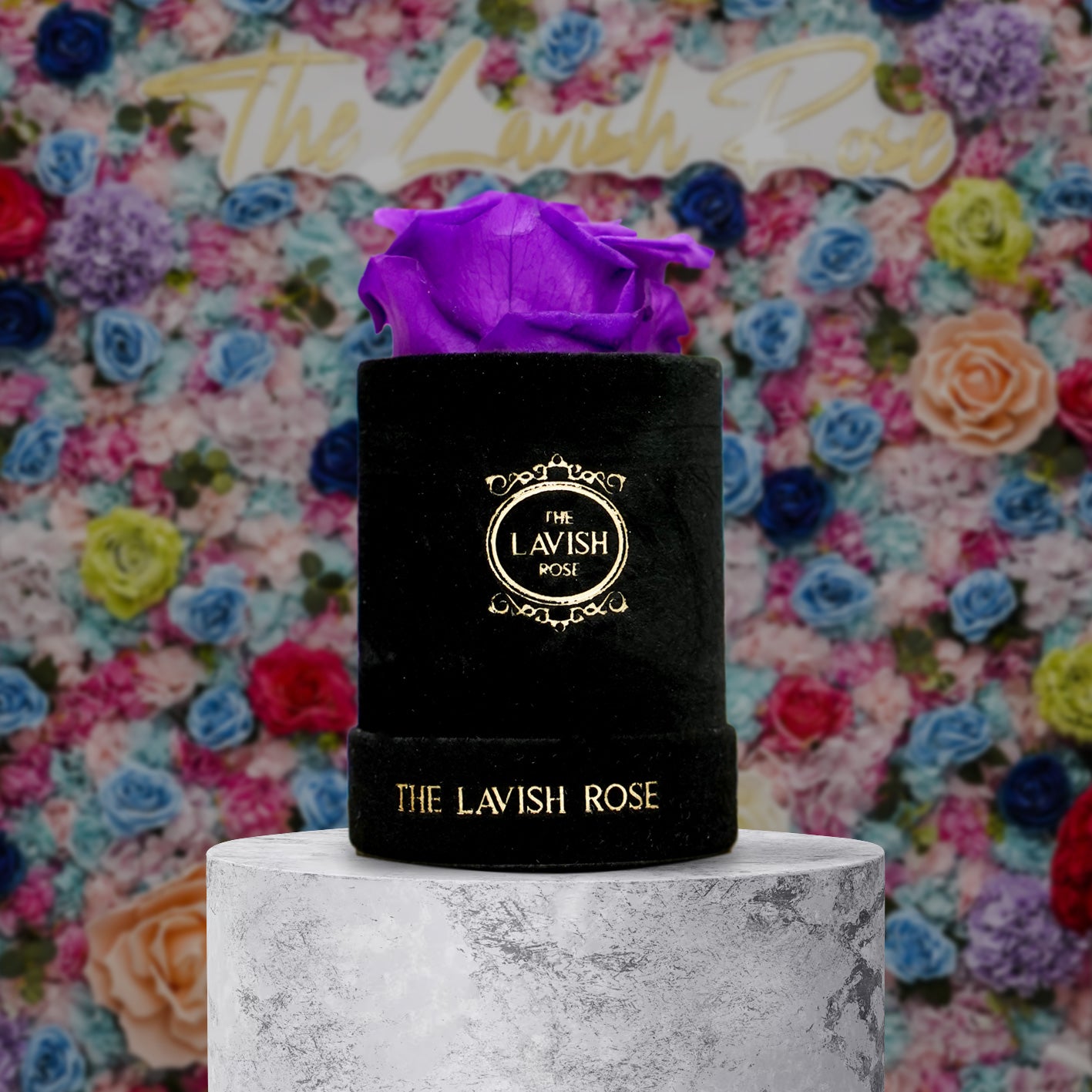 Royal Purple in Mini Black Suede Box