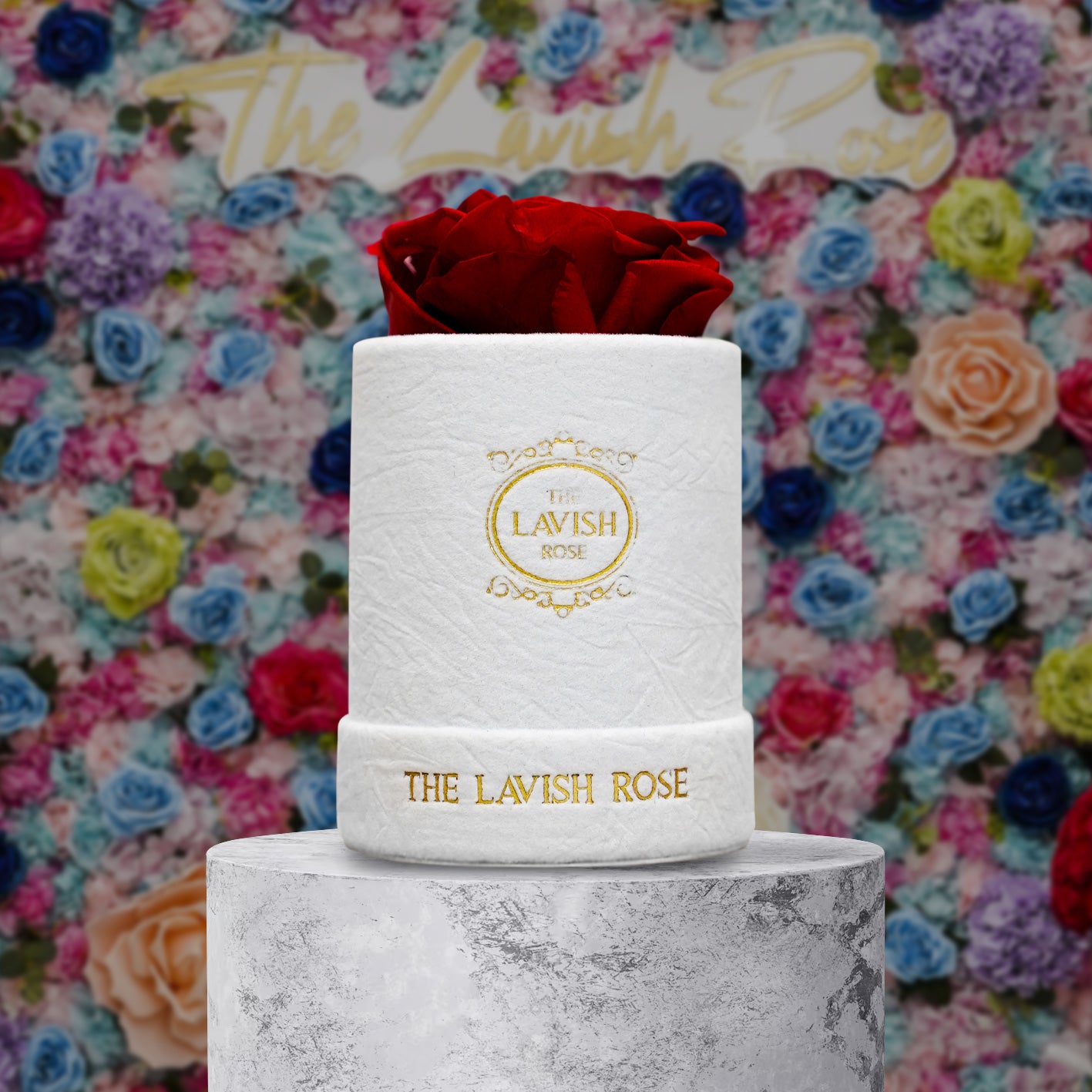 Red in Mini White Suede Box