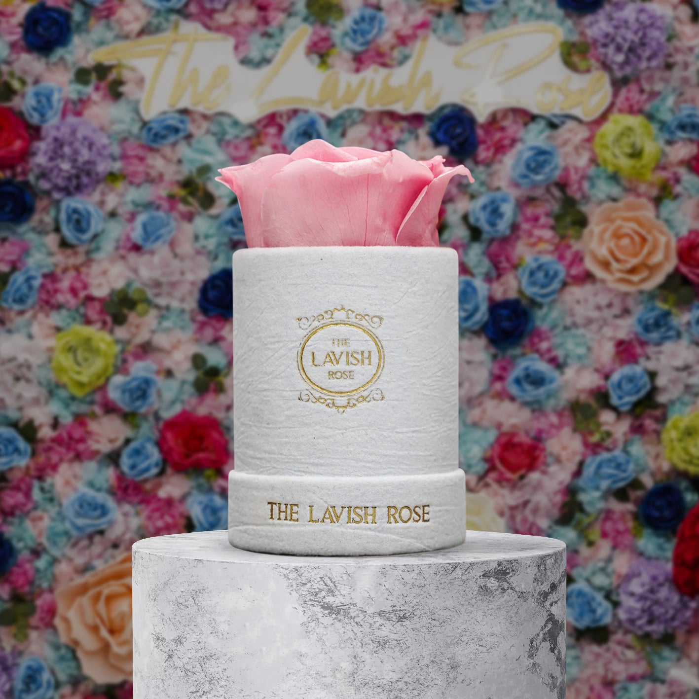 Pink in Mini White Suede Box