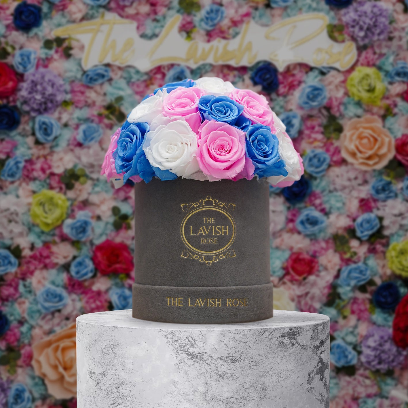 Marshmallow in Gray Suede Box