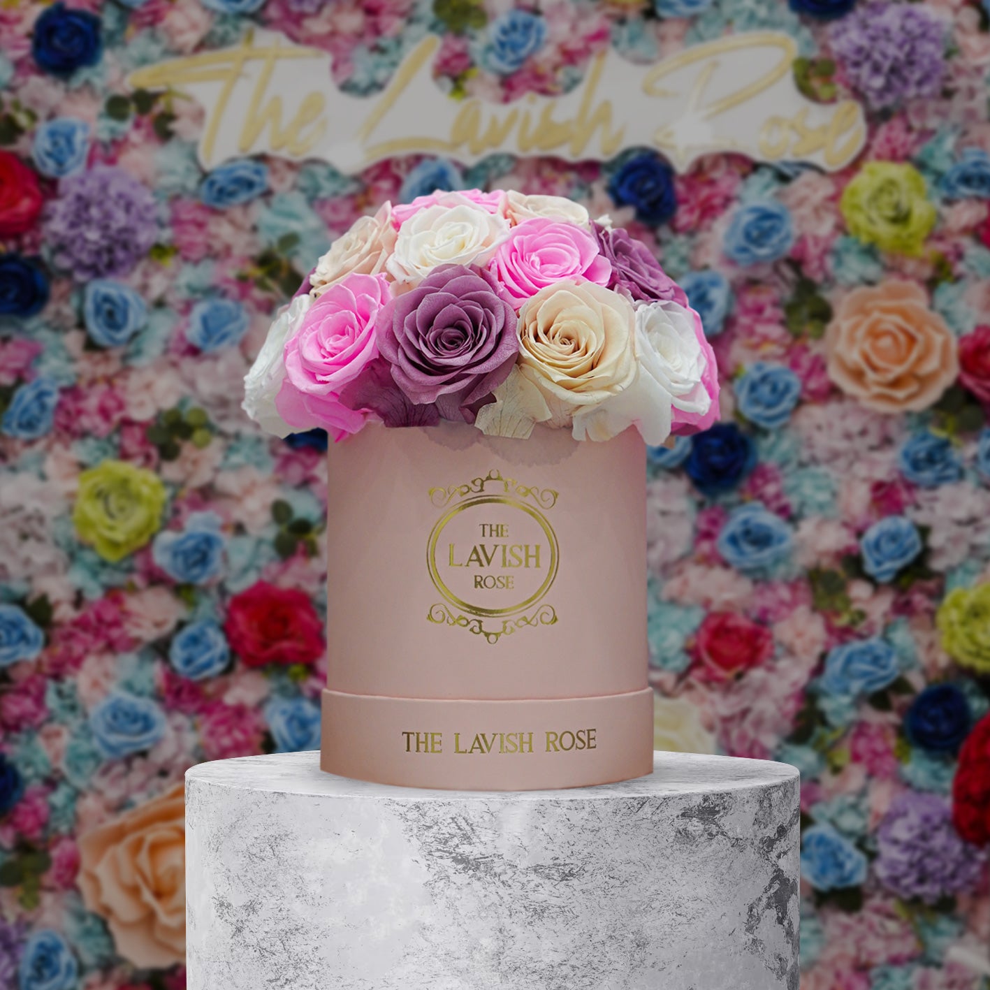 Marshmallow in Pink Box