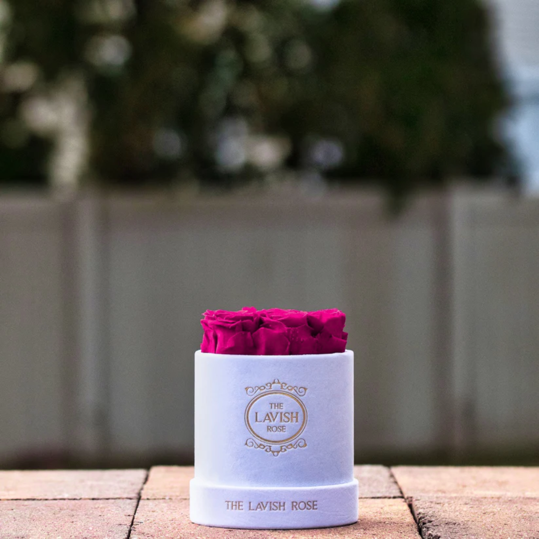 Hot Pink in Mini White Suede Box