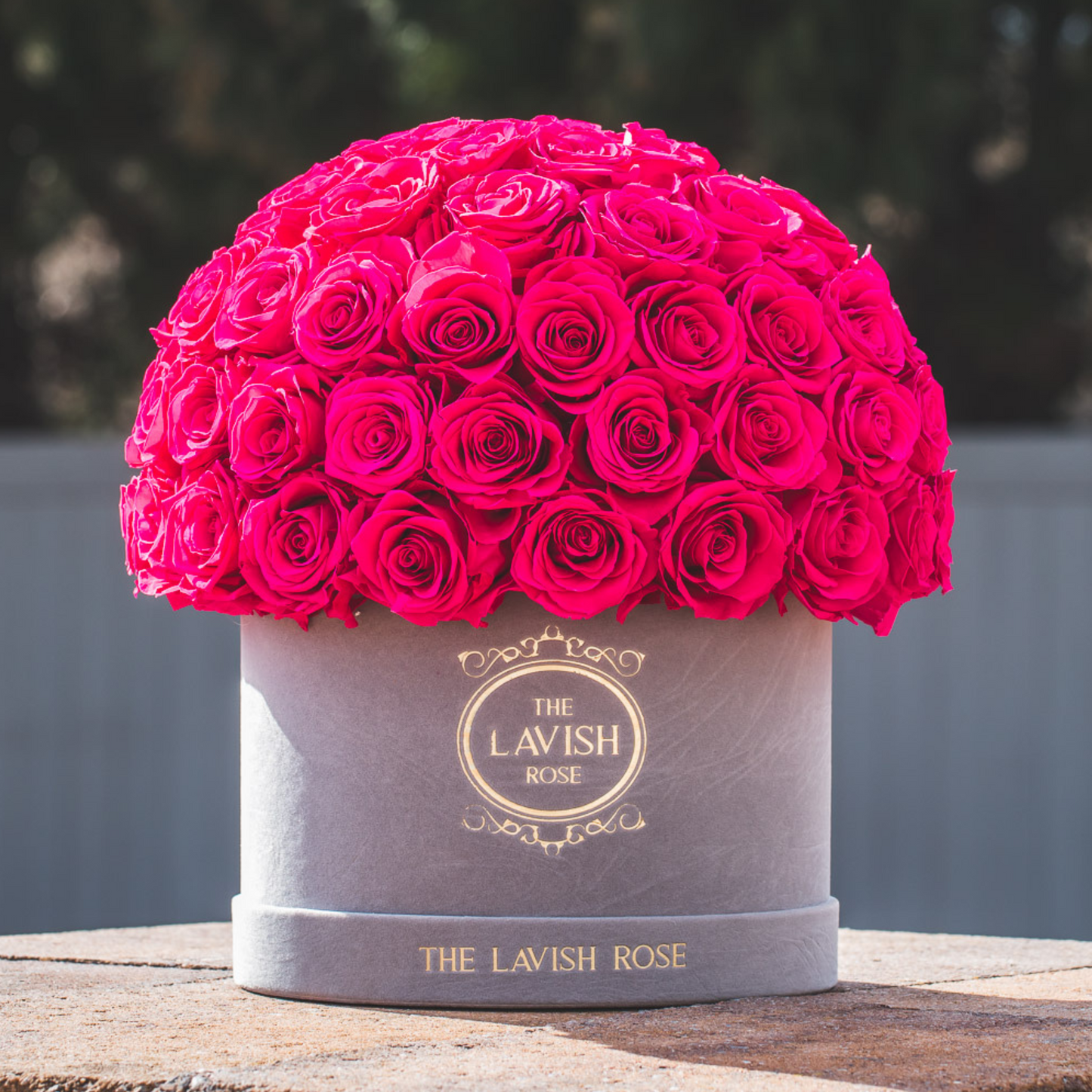 Ruby Pink in Gray Suede Box Limited Edition