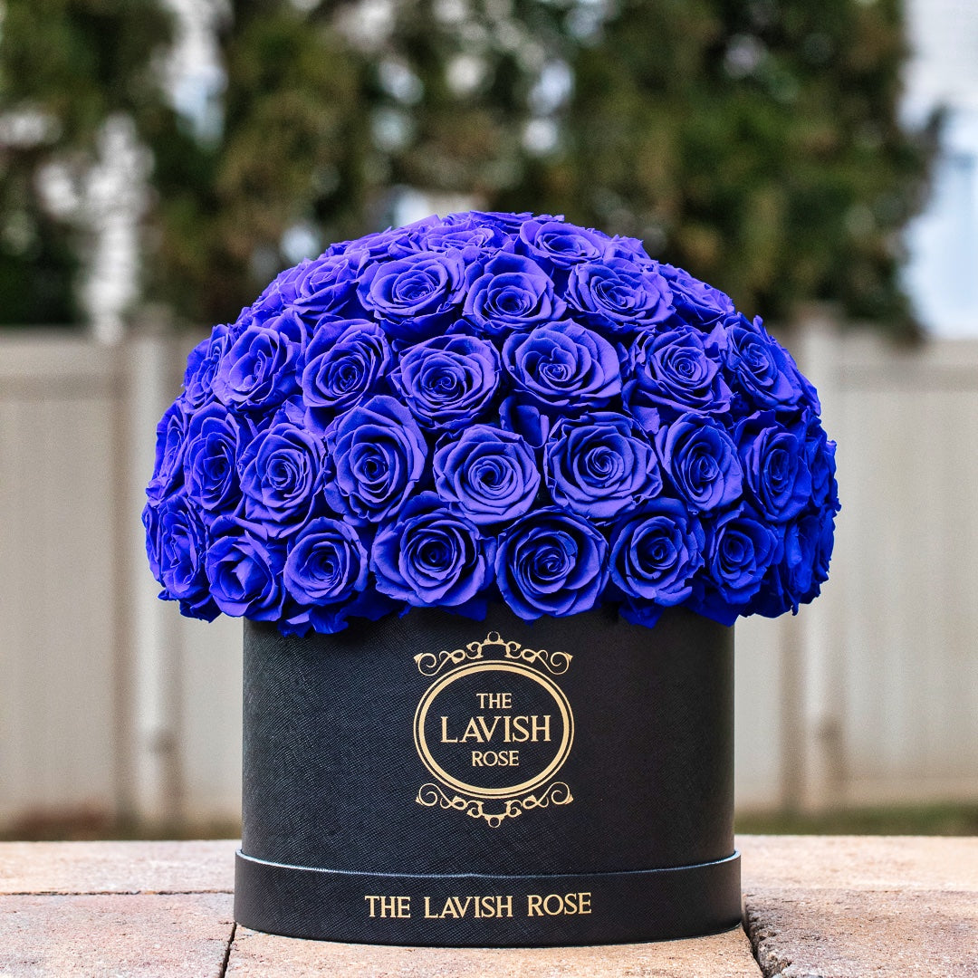 Royal Blue in Black Box