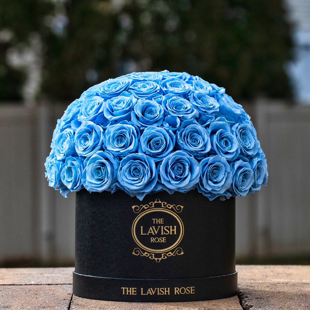 Light Blue in Black Box