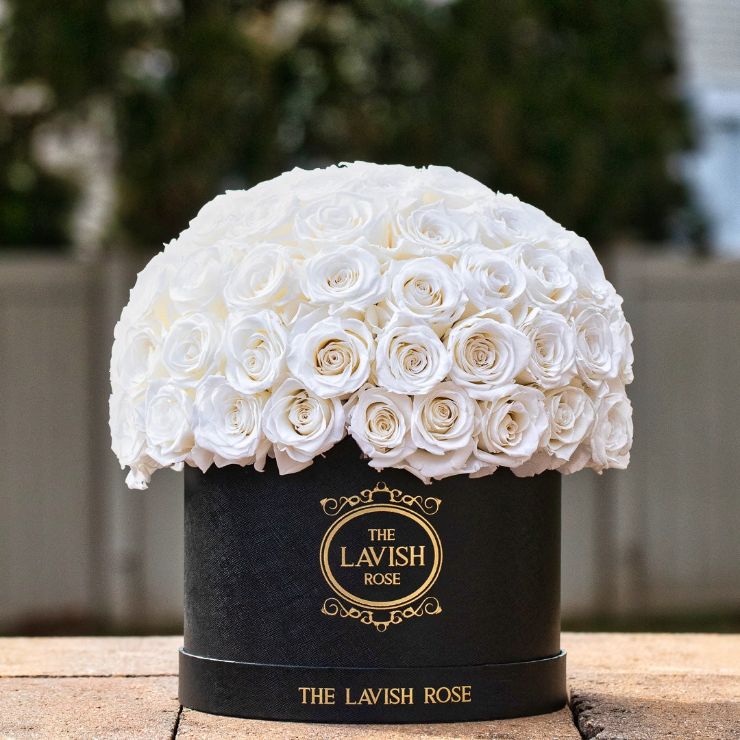 Pure White in Black Box