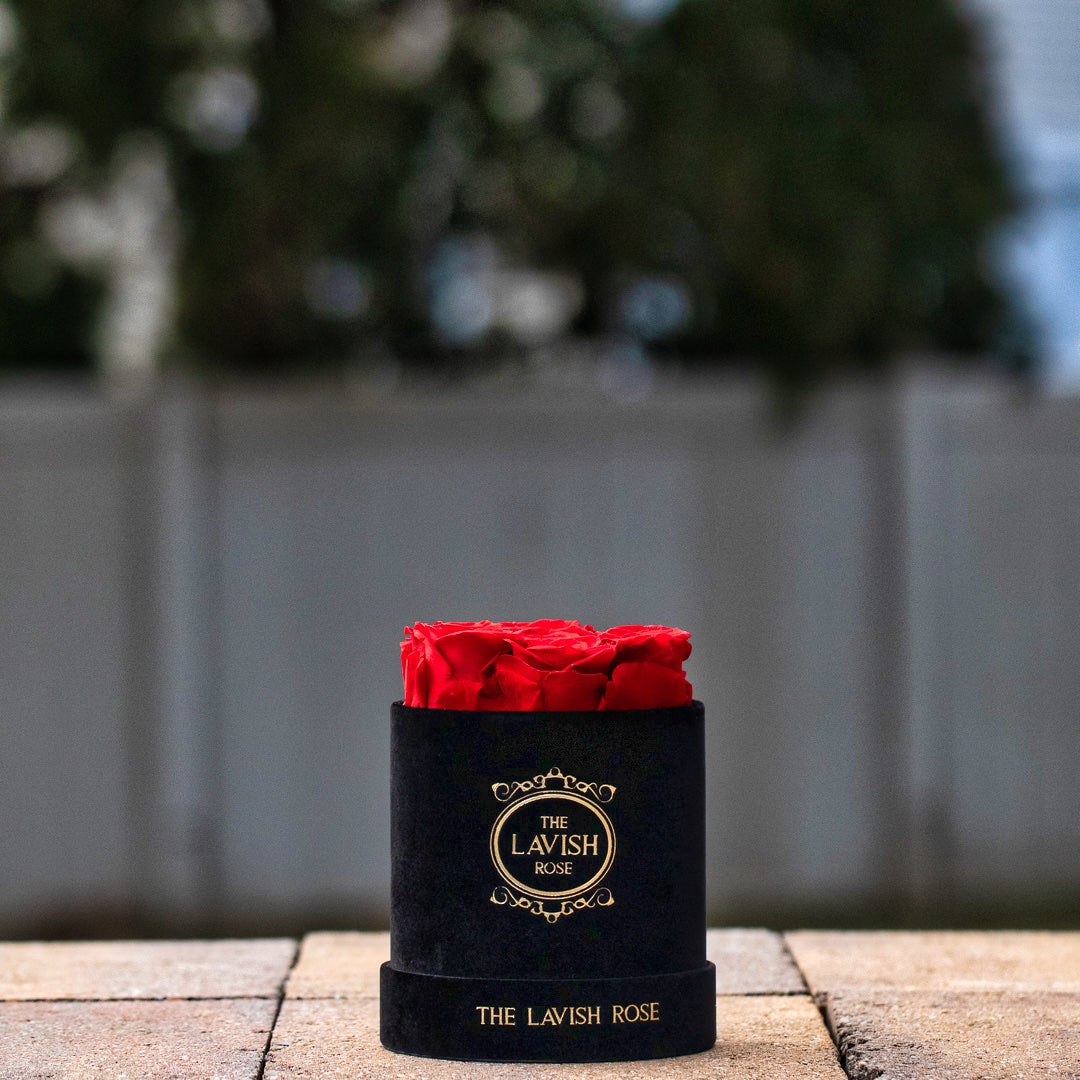 Red in Mini Black Suede Box