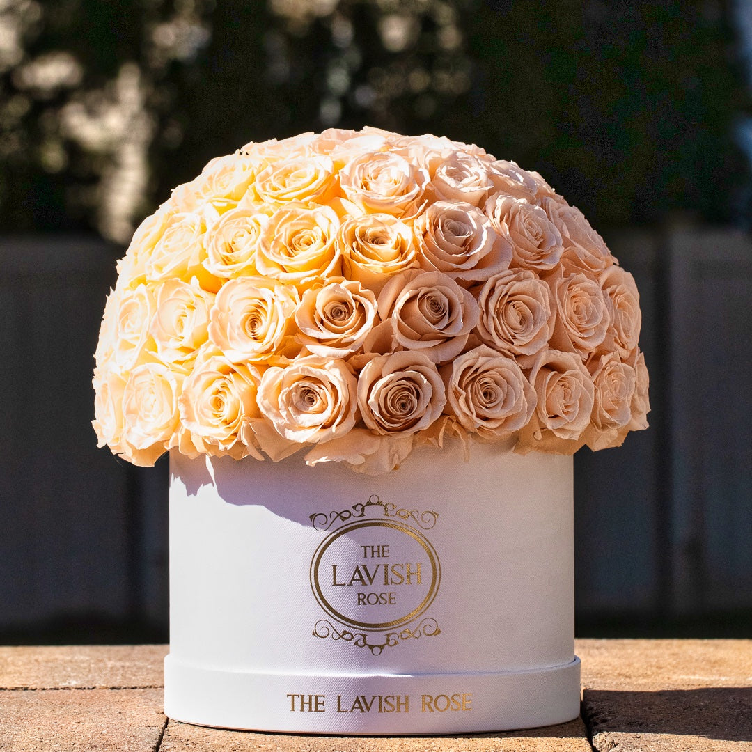 Champagne in White Box