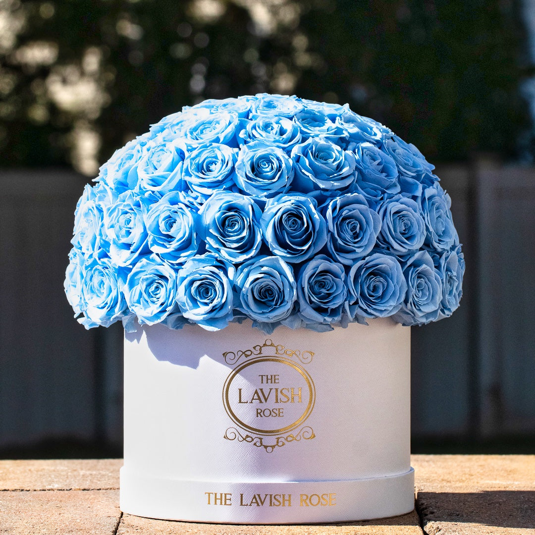 Light Blue in White Box