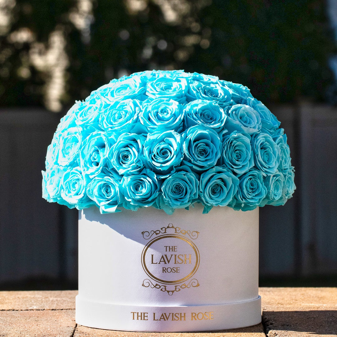 Turquoise in White Box