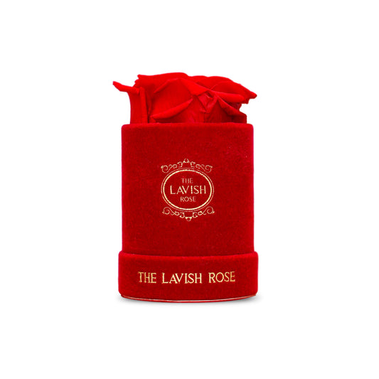Red in Mini Red Suede Box