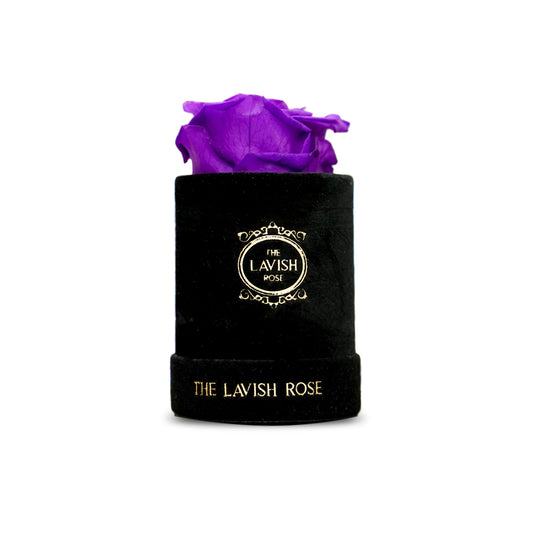 Royal Purple in Mini Black Suede Box