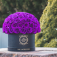 Royal Purple in Black Box