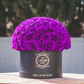 Royal Purple in Black Box