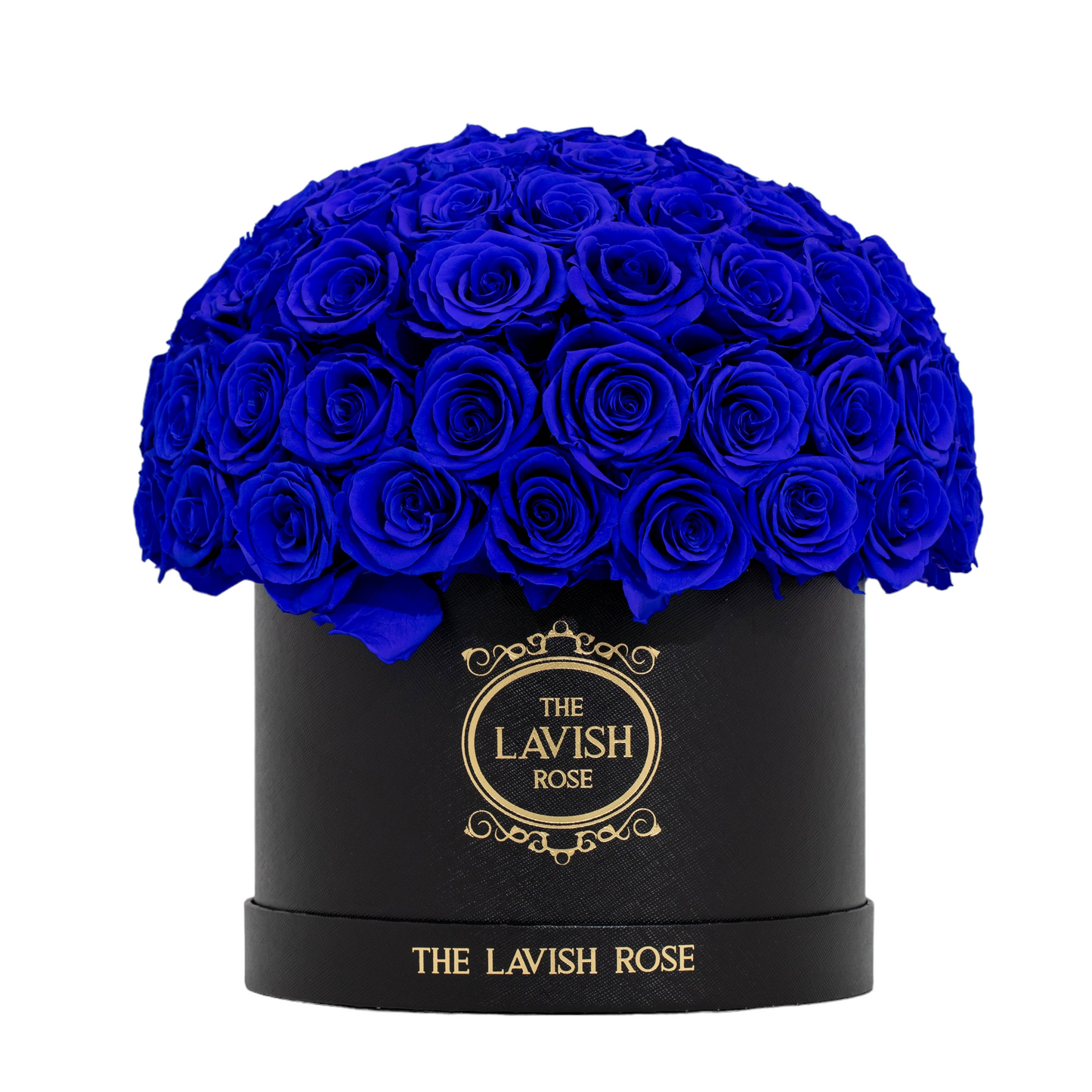 Royal Blue in Black Box