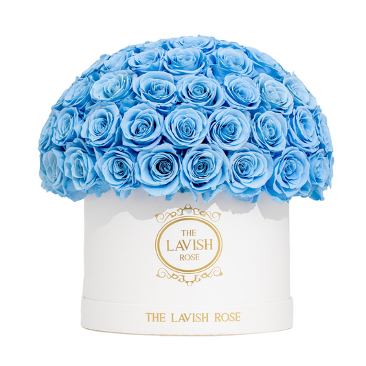 Light Blue in White Box