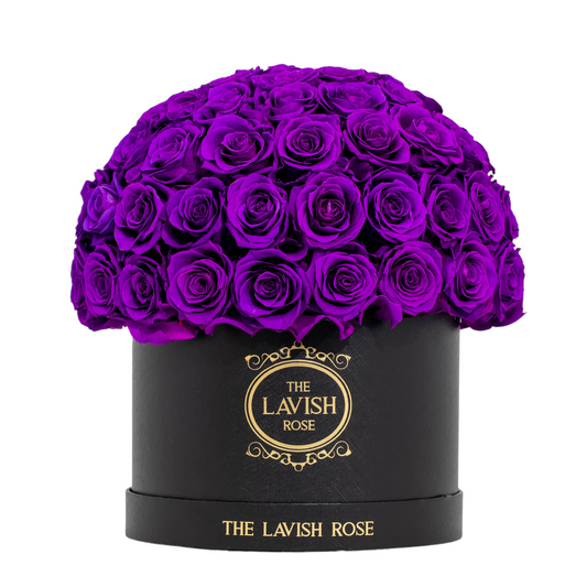 Royal Purple in Black Box