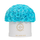 Turquoise in White Box