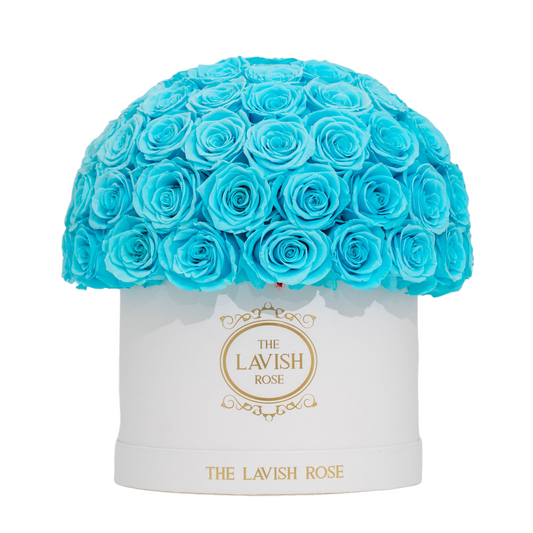 Turquoise in White Box