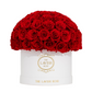 Red in White Box