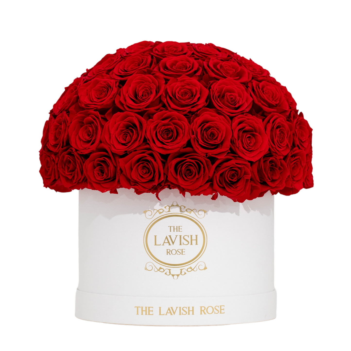 Red in White Box