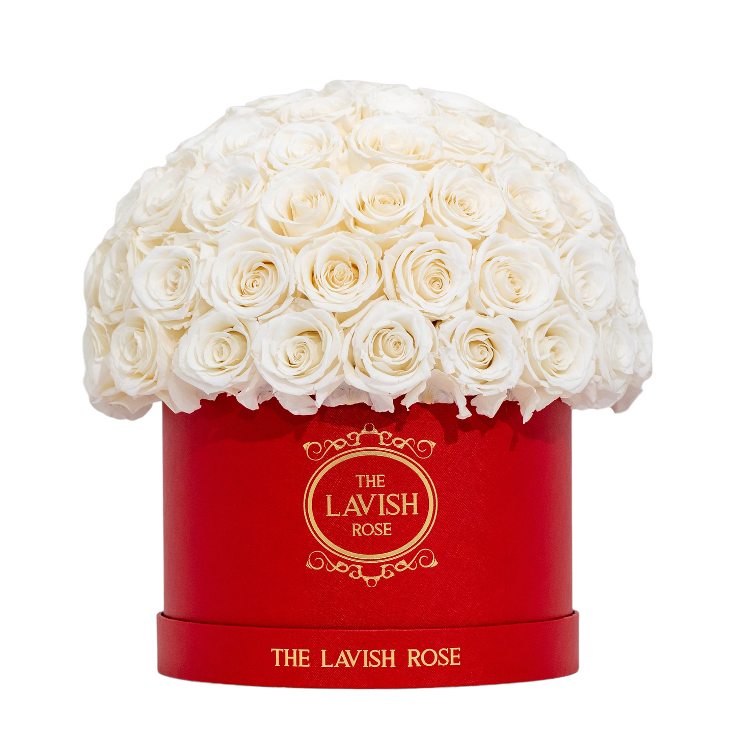 Pure White in Red Box