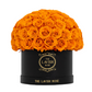 Orange in Black Box