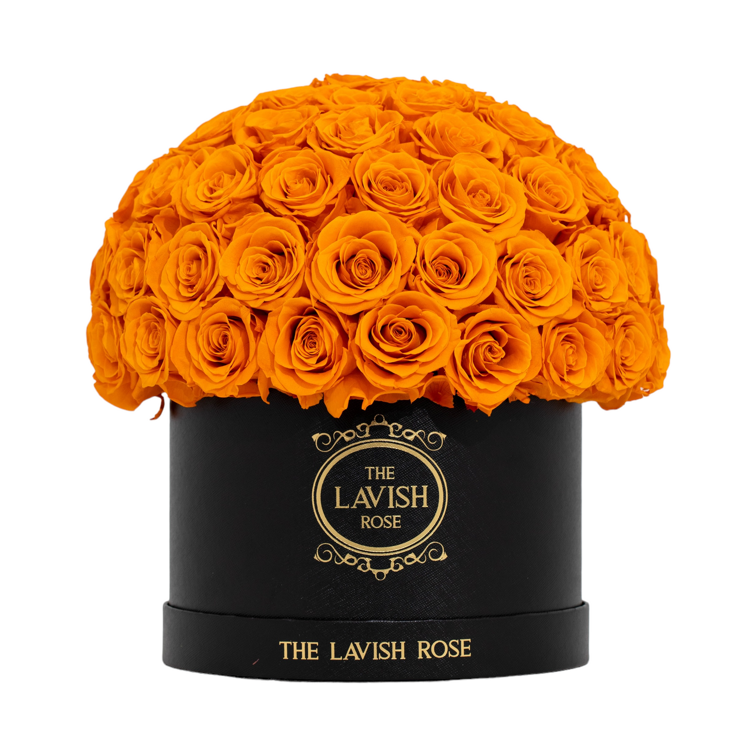 Orange in Black Box