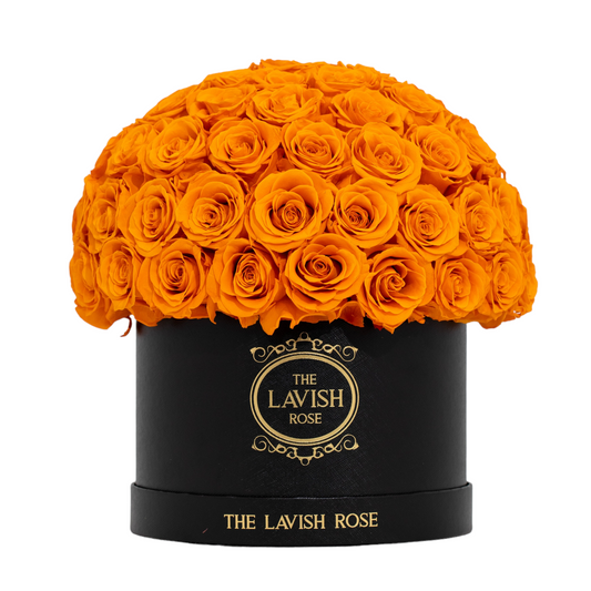 Orange in Black Box