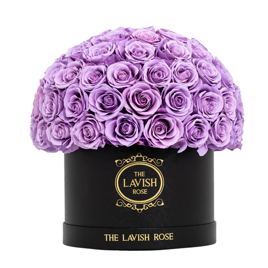 Lilac in Black Box