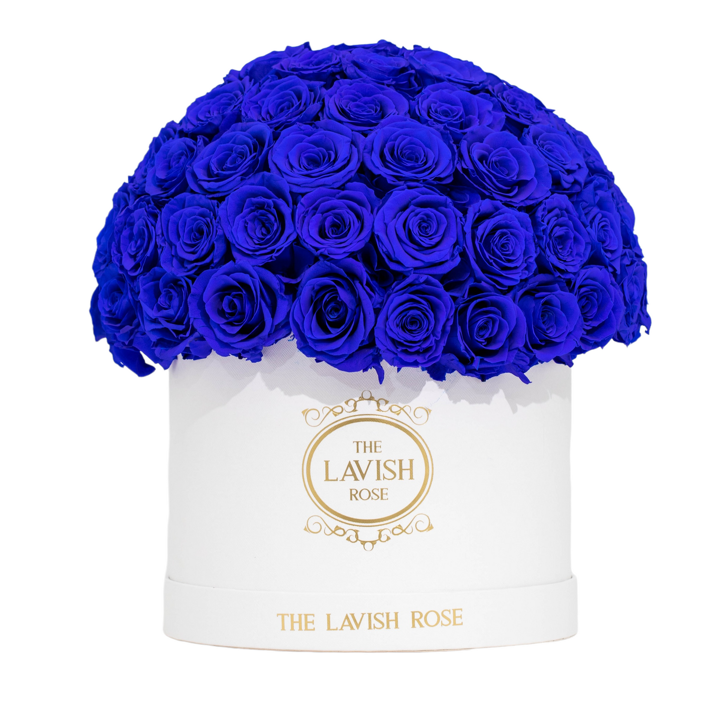 Royal Blue in White Box