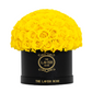 Yellow in Black Box