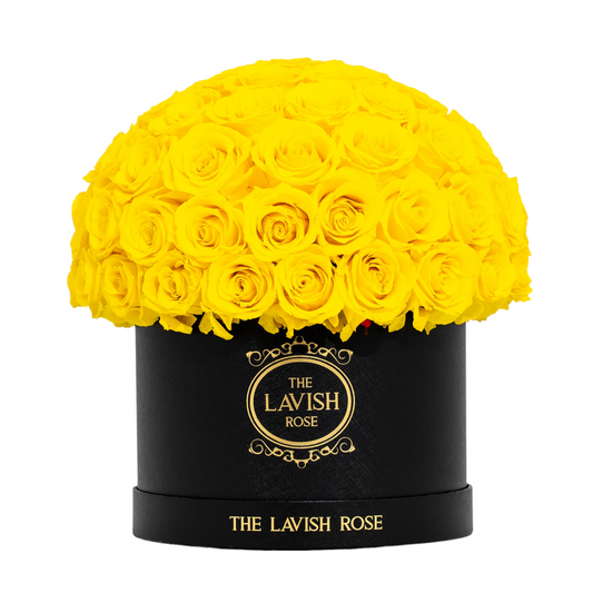 Yellow in Black Box