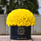 Yellow in Black Box