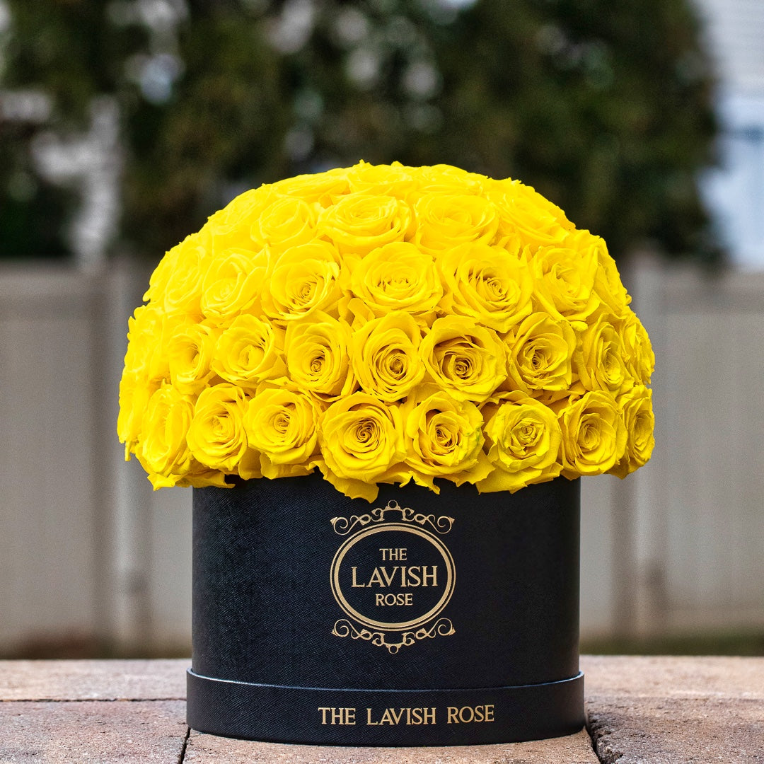 Yellow in Black Box