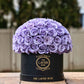 Lilac in Black Box