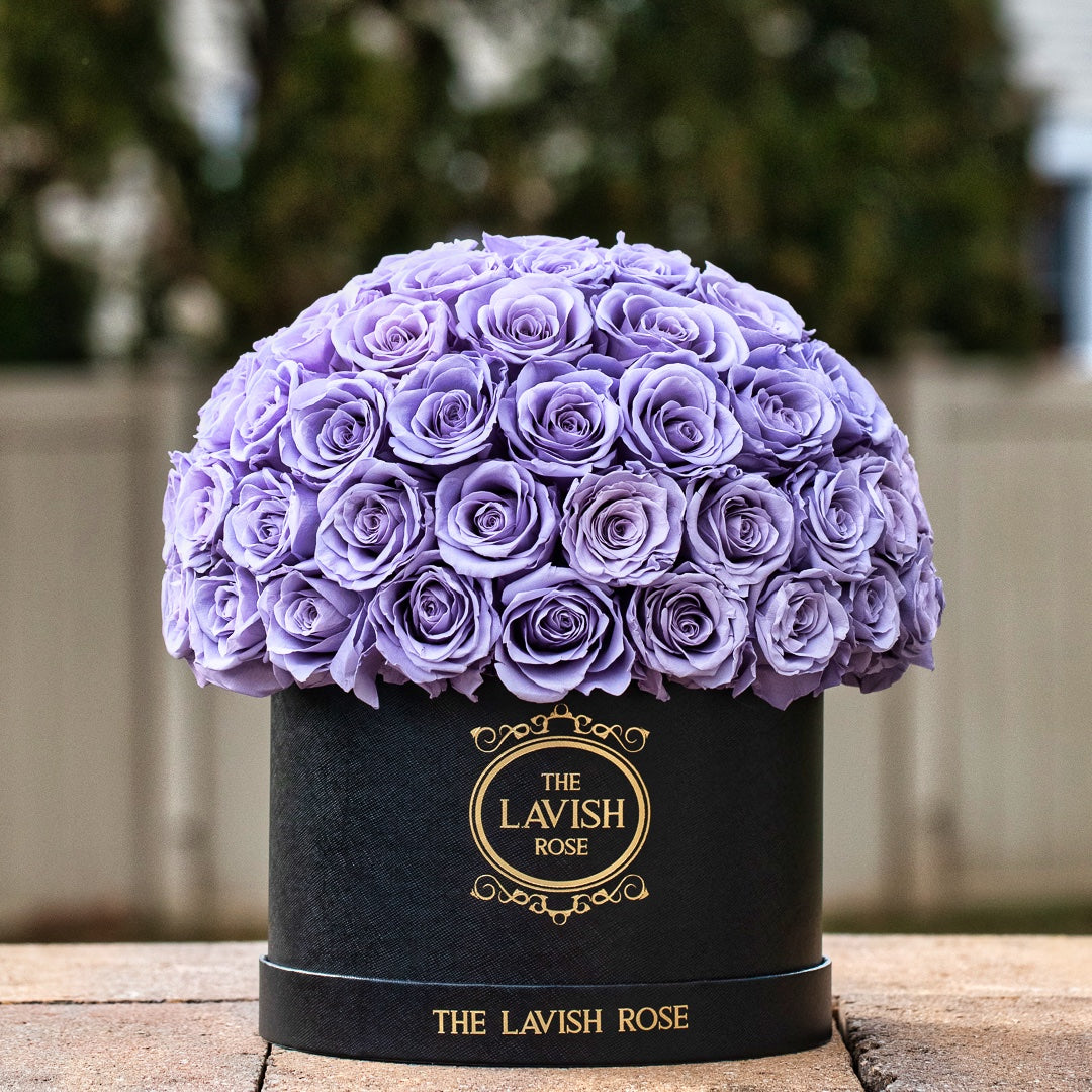 Lilac in Black Box