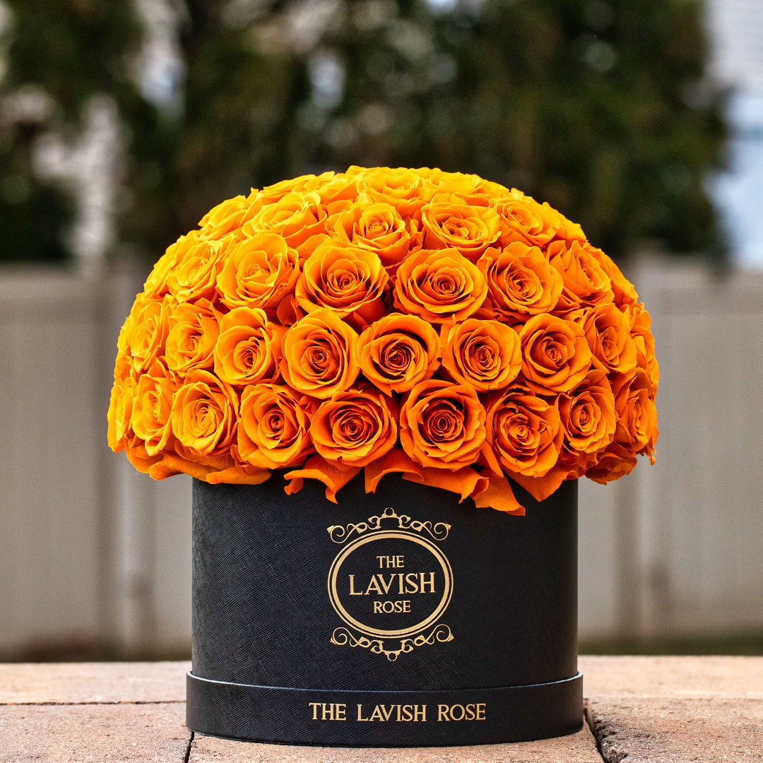 Orange in Black Box