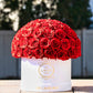 Red in White Box