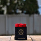 Red in Mini Black Suede Box