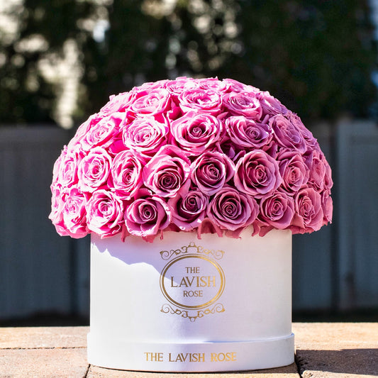Light Pink in White Box